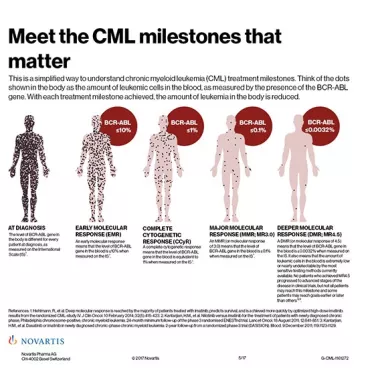 2017 CML Meet the Milestones that Matter One-Pager