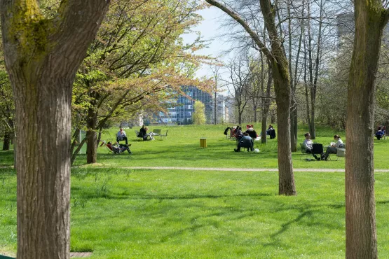 People in the park
