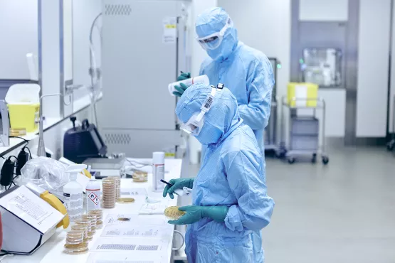 A process operator labels culture plates for environmental monitoring