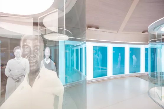 Content area «Fragility of Life» of the Wonders of Medicine exhibition in the Novartis Pavillon