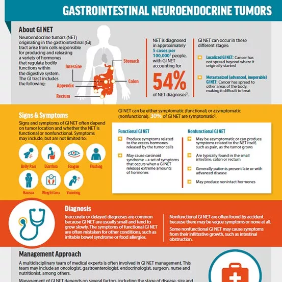 GI NET Infographic GI NET Infographic
