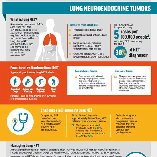 Lung NET Infographic Lung NET Infographic