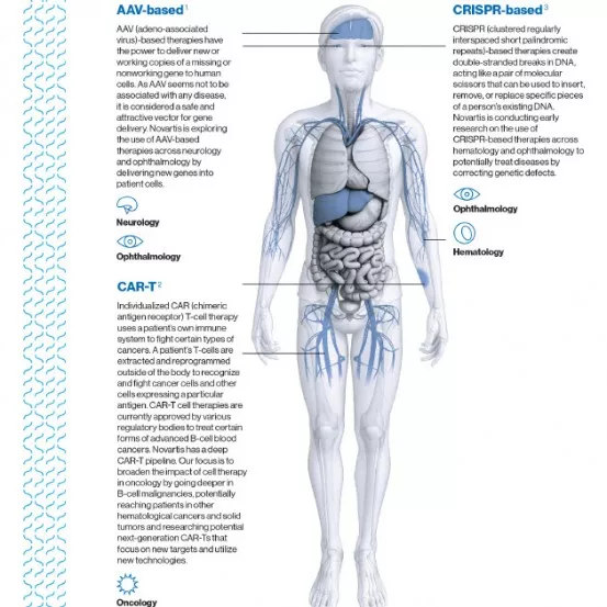 Preview Image of the Cell and Gene Key Focus Areas Infographic Preview Image of the Cell and Gene Key Focus Areas Infographic