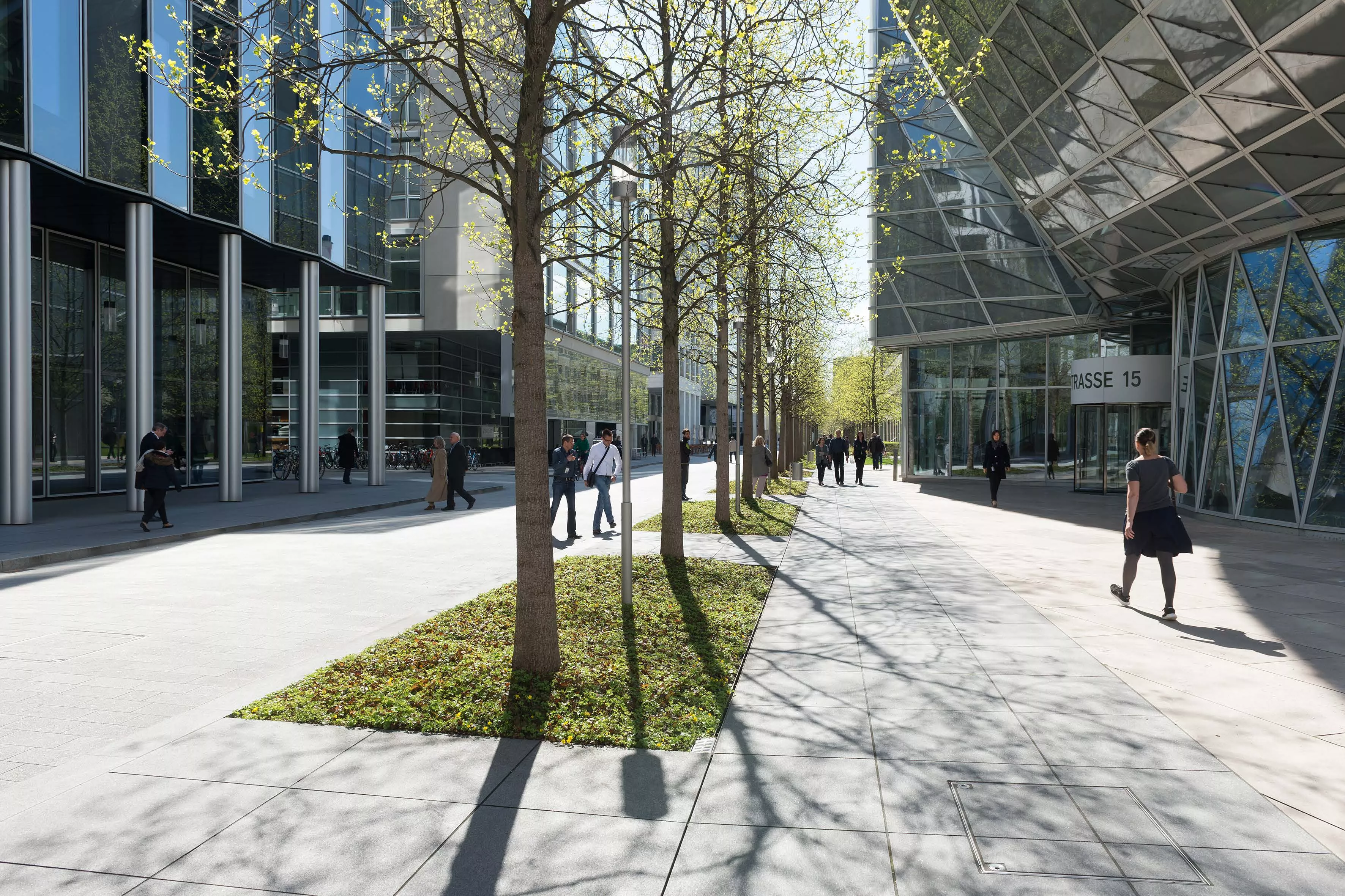 Trees casting shadows along Fabrikstrasse Trees casting shadows along Fabrikstrasse