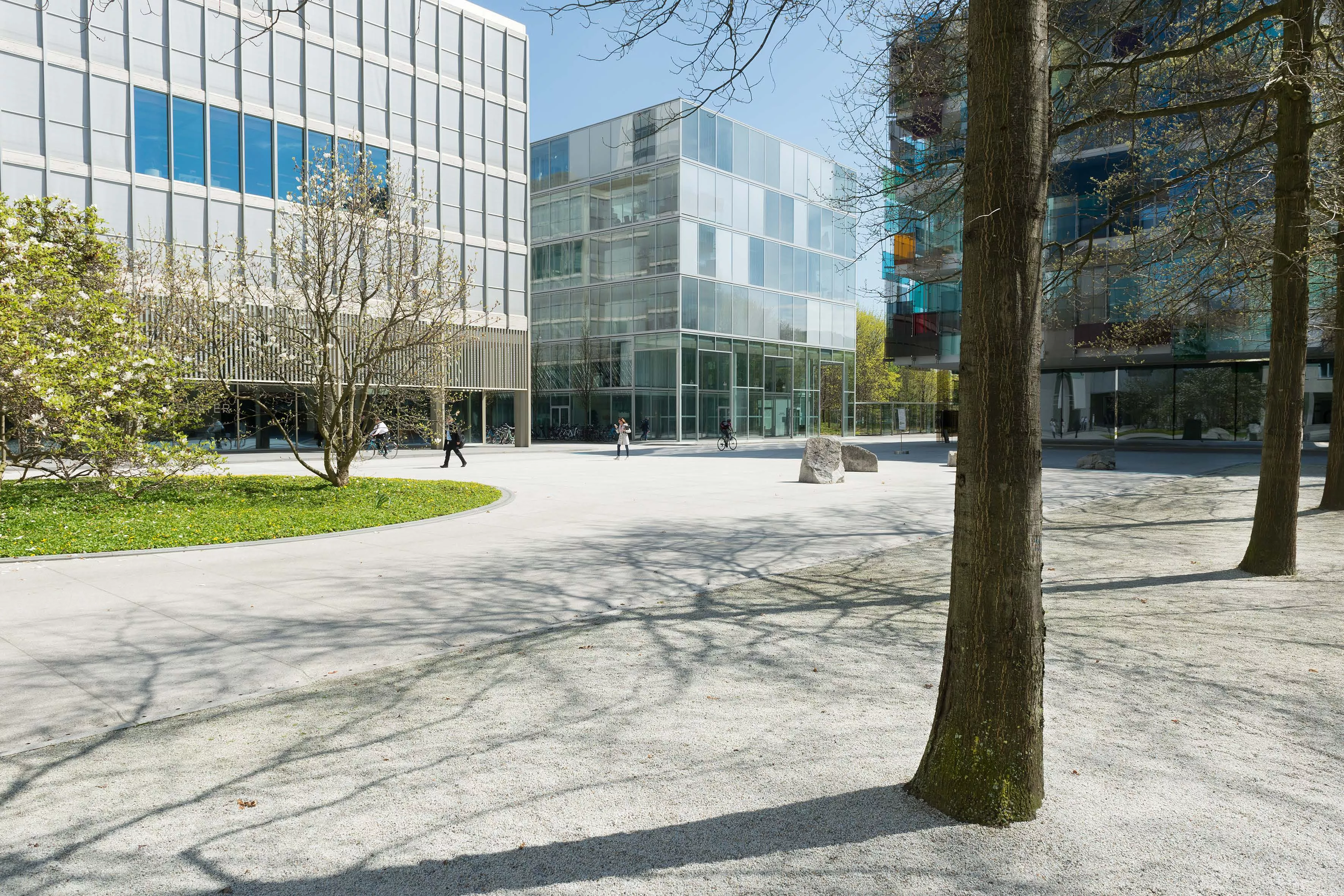 View of Fabrikstrasse 6 (Peter Märkli) with trees View of Fabrikstrasse 6 (Peter Märkli) with trees